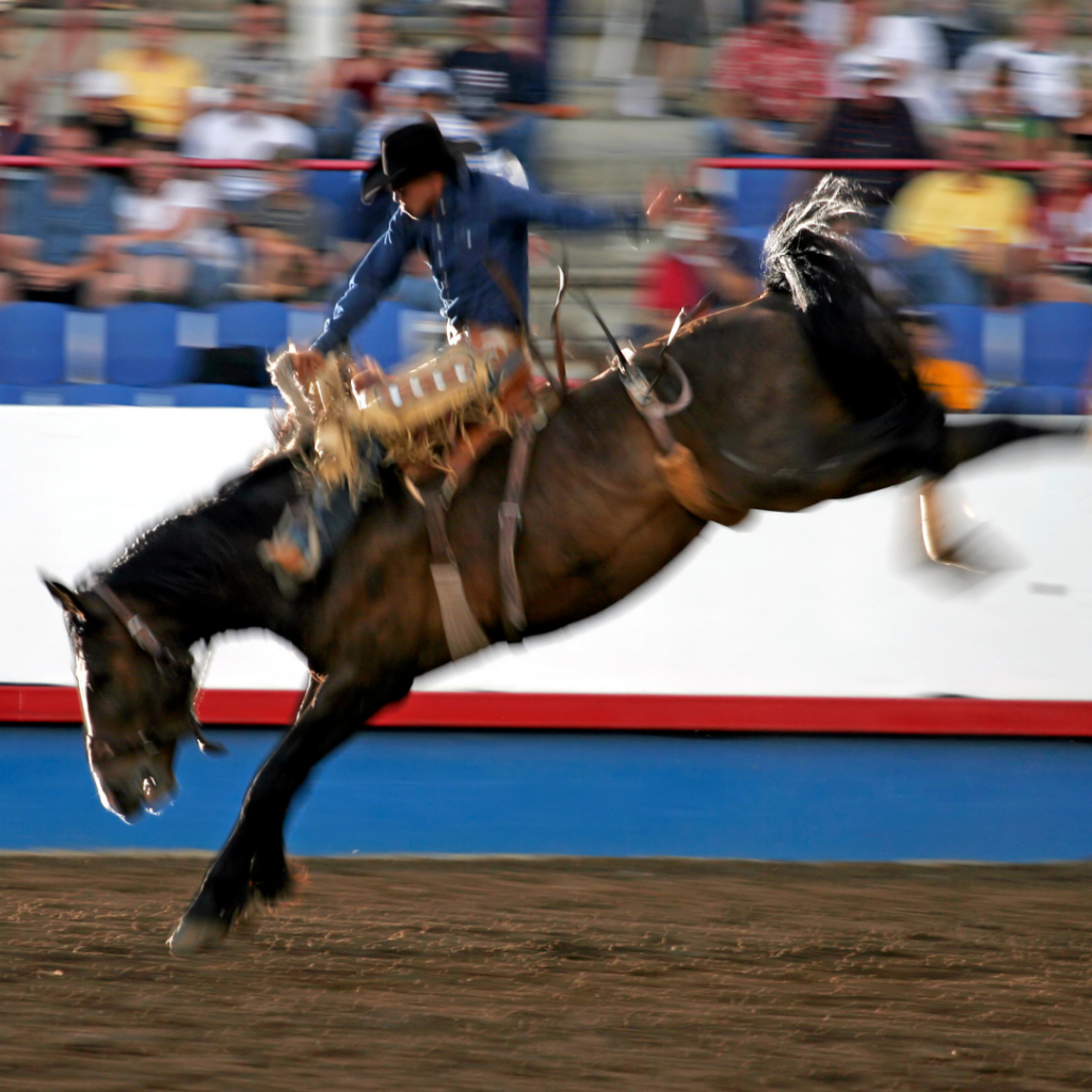 Gearing Up for the Houston Livestock Show & Rodeo