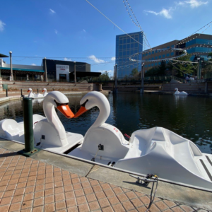 Two pedal boats in The Woodlands Waterway.