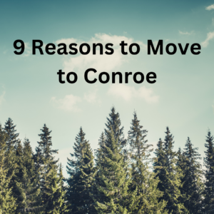 9 Reasons to move to Conroe written in the sky above pine trees
