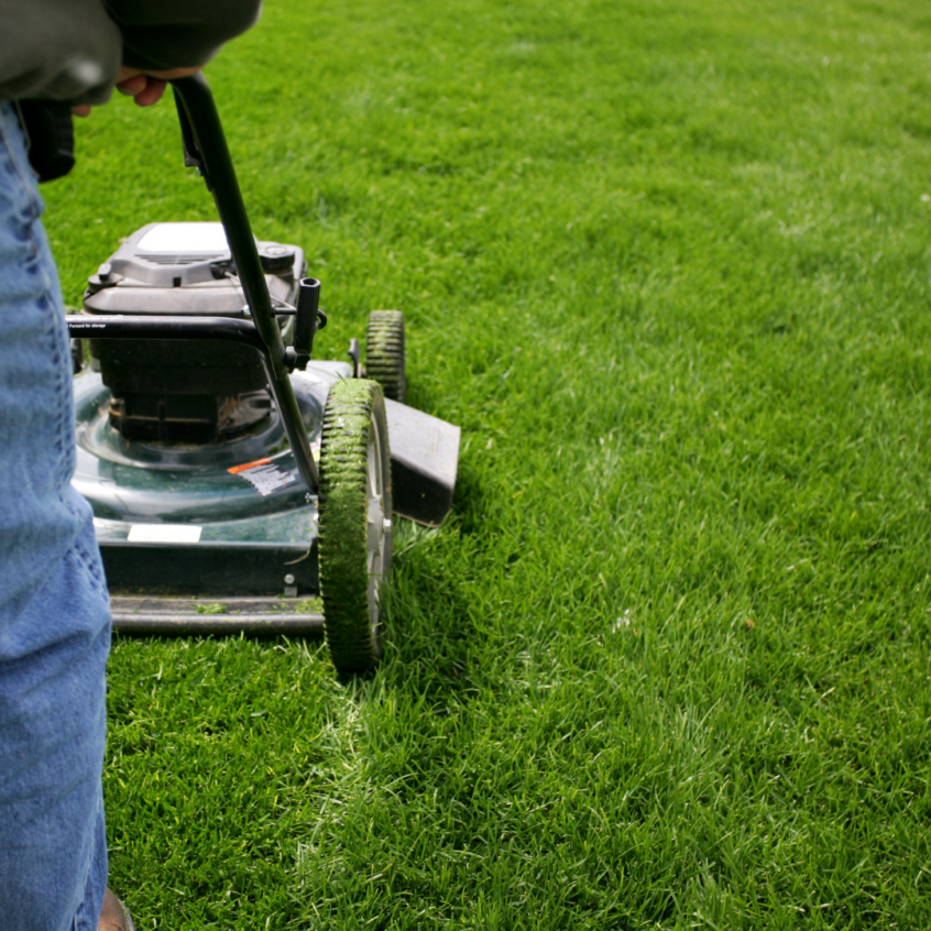 An example of lawn care as a man mows his grass with a push lawnmower.